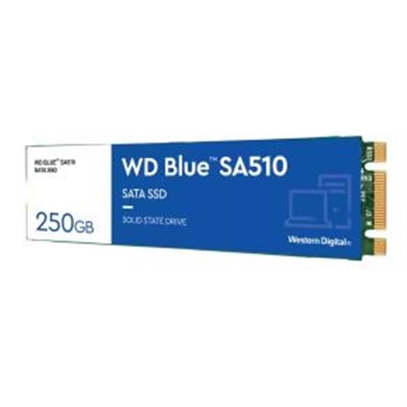 250GB BLUE SSD M 2 SA510 2280 SATA III 6