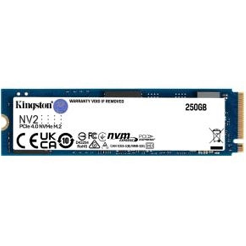250G NV2 M 2 2280 PCIe 4 0 NVMe SSD