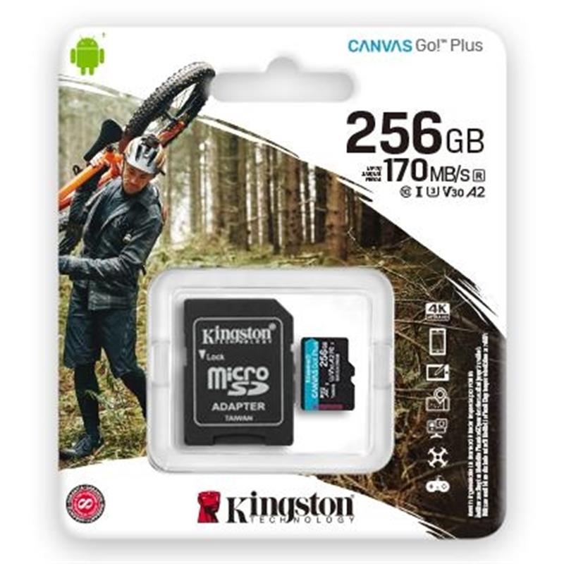 Kingston Technology Canvas Go! Plus flashgeheugen 256 GB SD Klasse 10 UHS-I