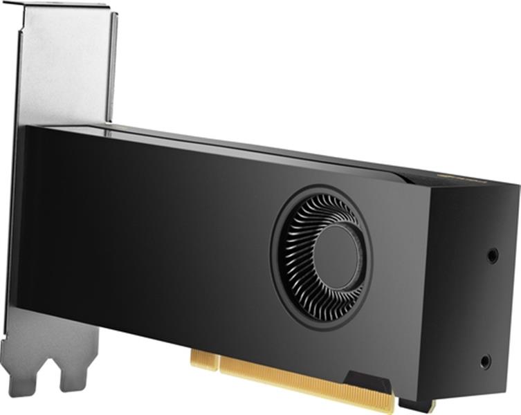 HP NVIDIA RTX PH x2xxx 4mDP Graphics