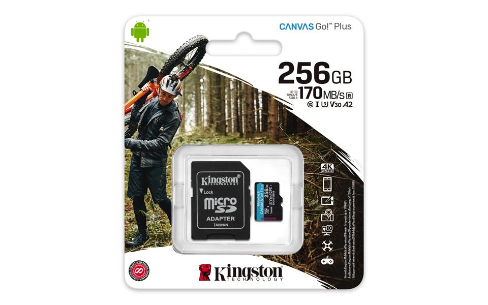 Kingston Technology Canvas Go! Plus flashgeheugen 256 GB SD Klasse 10 UHS-I